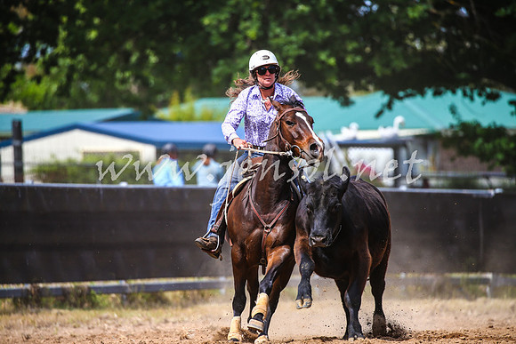 OrangeCampdraft2017_1489