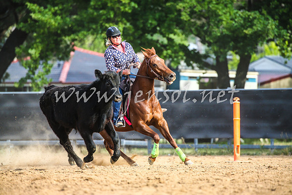 OrangeCampdraft2017_2606