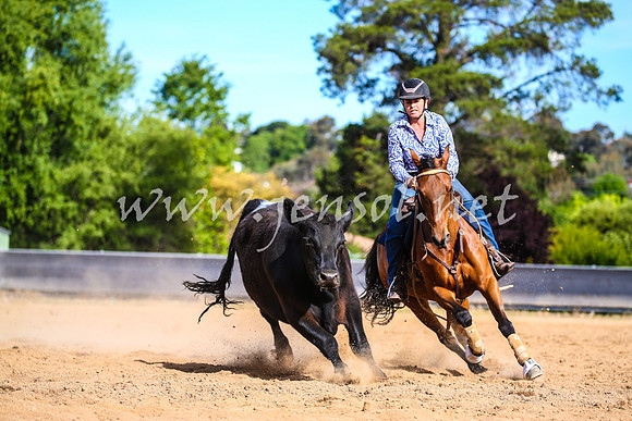 OrangeCampdraft2017_2424