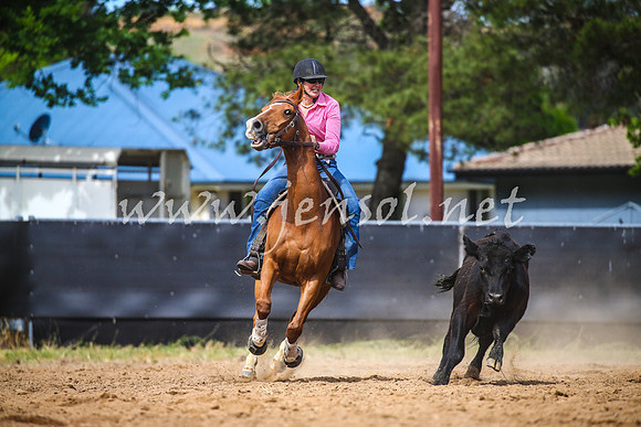 OrangeCampdraft2017_1872