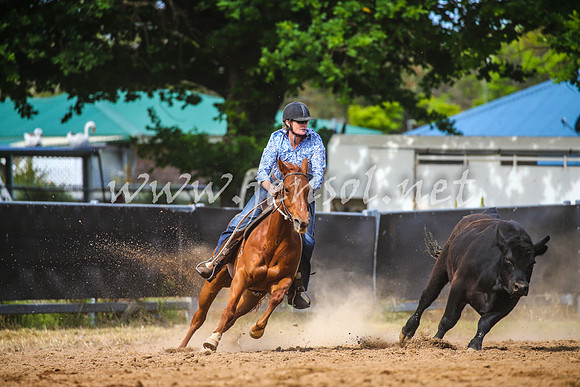 OrangeCampdraft2017_1895