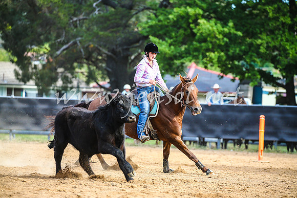 OrangeCampdraft2017_2791