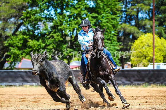 OrangeCampdraft2017_0493