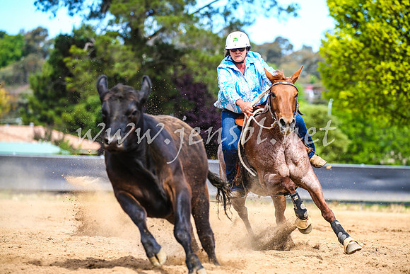 OrangeCampdraft2017_1923