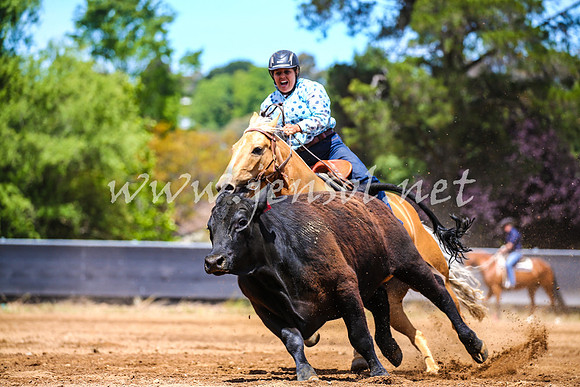 OrangeCampdraft2017_0365