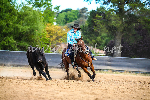 OrangeCampdraft2017_2683