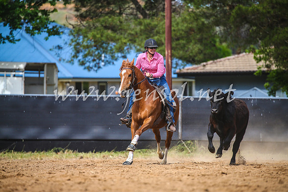 OrangeCampdraft2017_1861