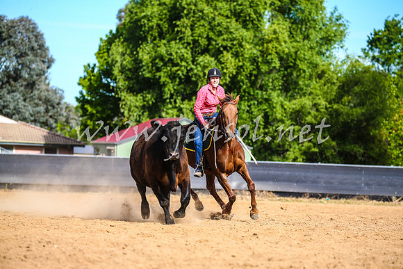 OrangeCampdraft2017_2580