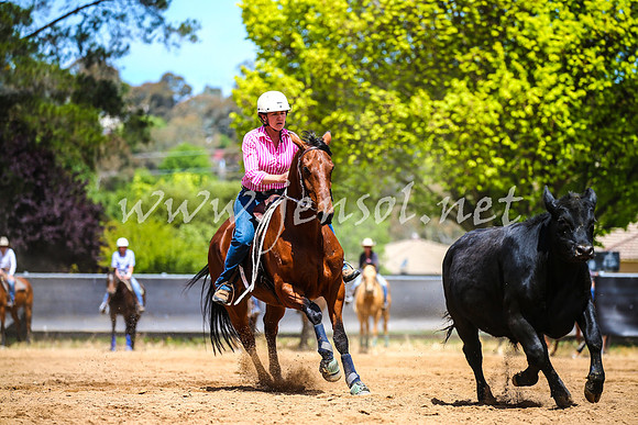 OrangeCampdraft2017_0766