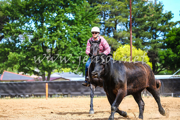 OrangeCampdraft2017_1509