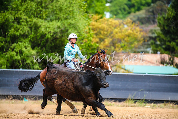 OrangeCampdraft2017_1775