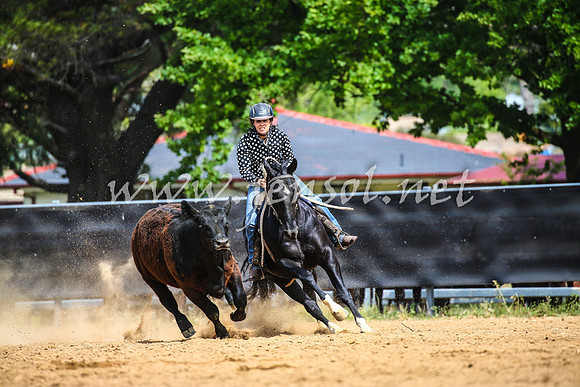 OrangeCampdraft2017_1418