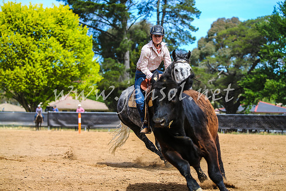 OrangeCampdraft2017_1395