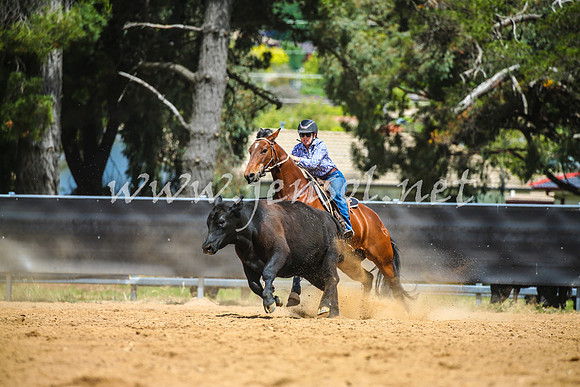 OrangeCampdraft2017_0925