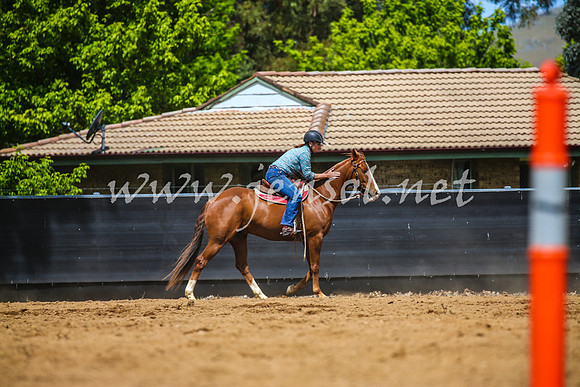OrangeCampdraft2017_0980