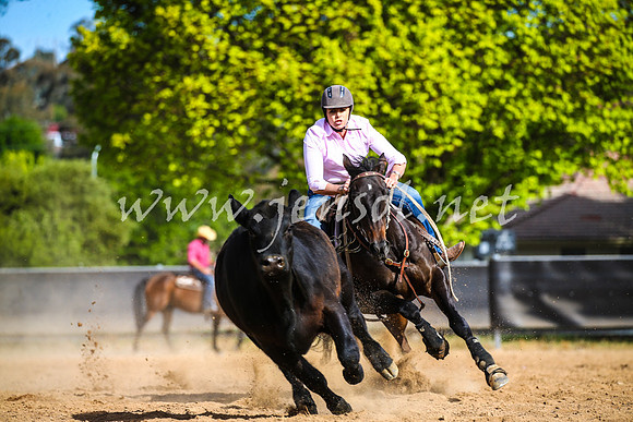 OrangeCampdraft2017_2344