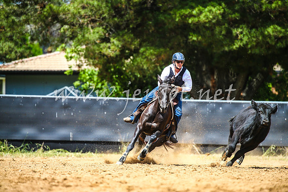OrangeCampdraft2017_0585