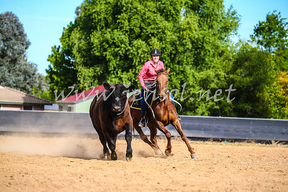 OrangeCampdraft2017_2576