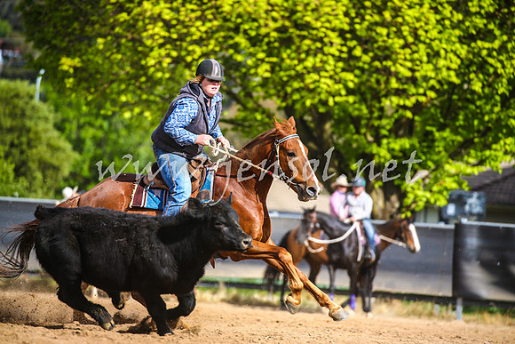 OrangeCampdraft2017_2340