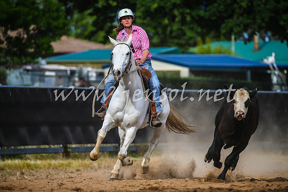 OrangeCampdraft2017_2615