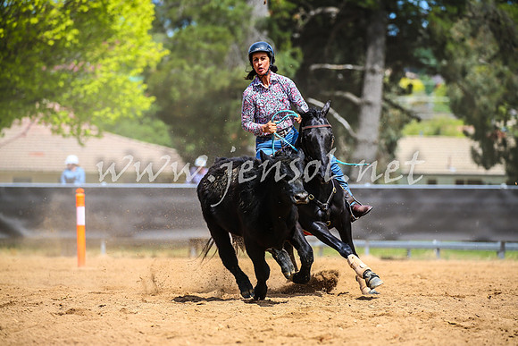 OrangeCampdraft2017_1112