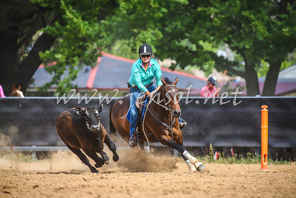 OrangeCampdraft2017_1829