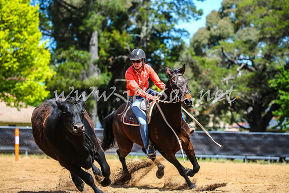 OrangeCampdraft2017_0807