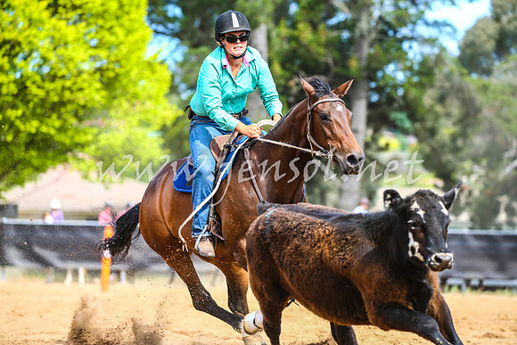 OrangeCampdraft2017_1807