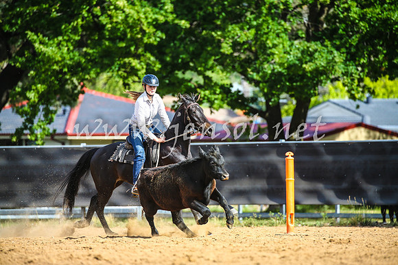 OrangeCampdraft2017_2327