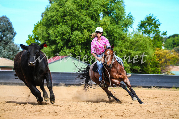 OrangeCampdraft2017_2026