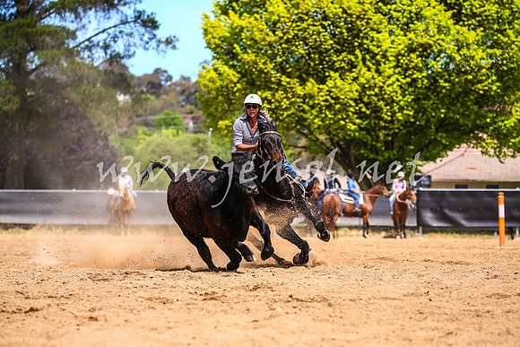 OrangeCampdraft2017_1200