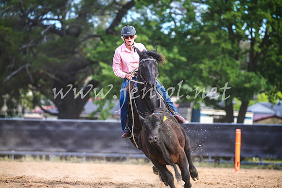 OrangeCampdraft2017_2662