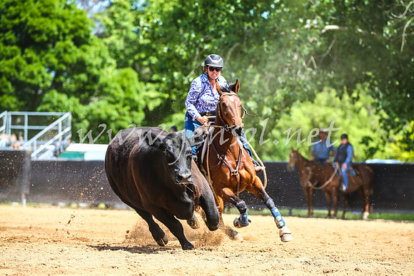 OrangeCampdraft2017_0826