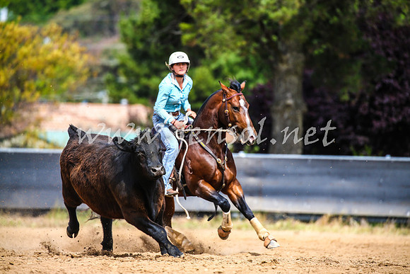 OrangeCampdraft2017_1769