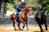 OrangeCampdraft2017_0480