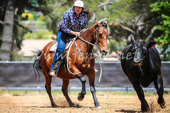 OrangeCampdraft2017_0480