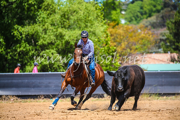 OrangeCampdraft2017_0955