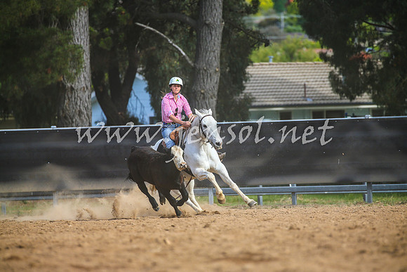 OrangeCampdraft2017_2623