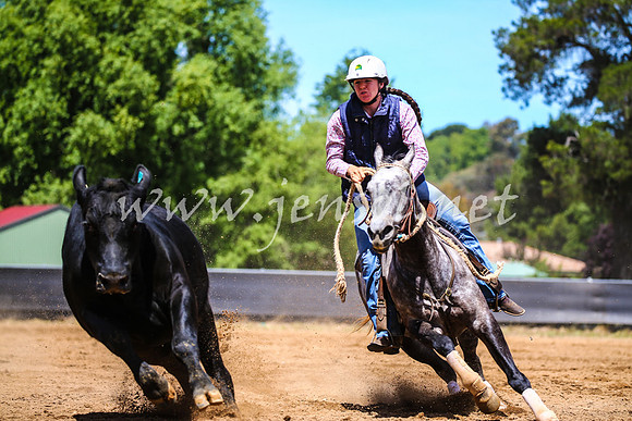 OrangeCampdraft2017_0534