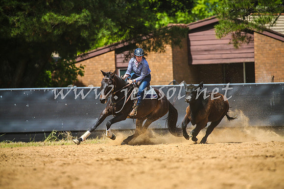 OrangeCampdraft2017_1004