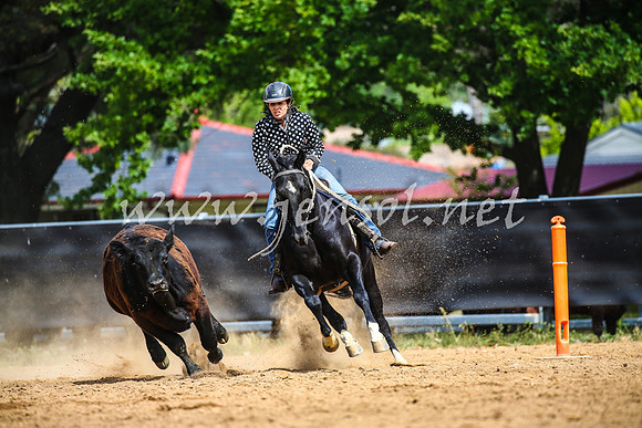 OrangeCampdraft2017_1413