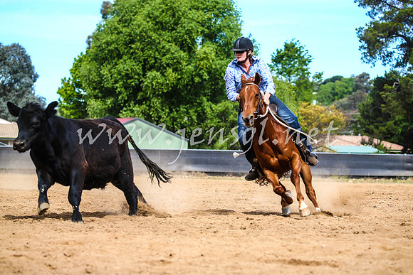 OrangeCampdraft2017_1885