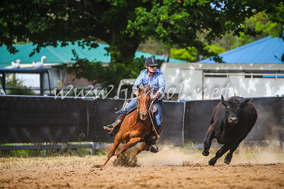 OrangeCampdraft2017_1901