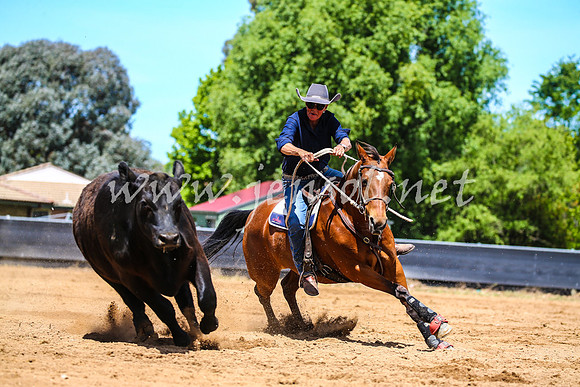 OrangeCampdraft2017_0540