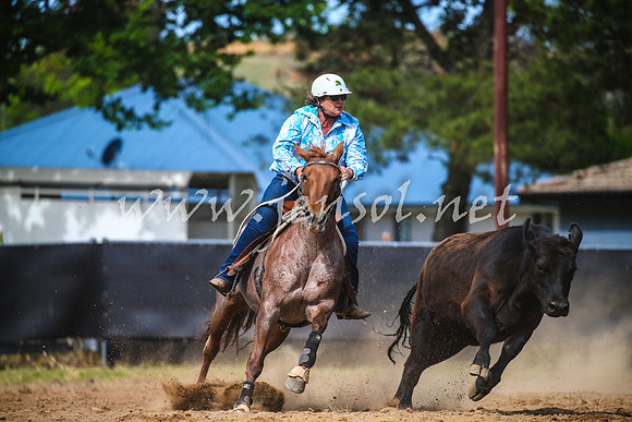 OrangeCampdraft2017_1933