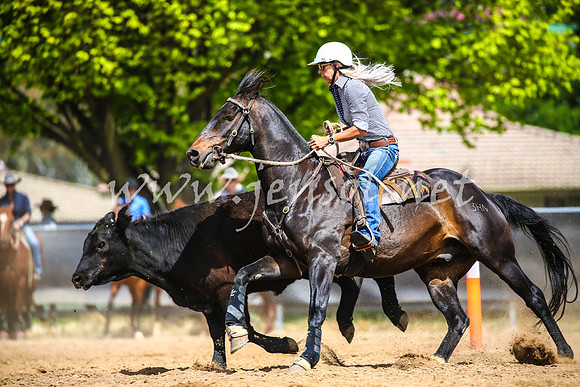 OrangeCampdraft2017_1250