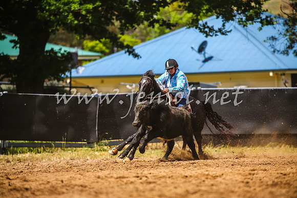OrangeCampdraft2017_0497