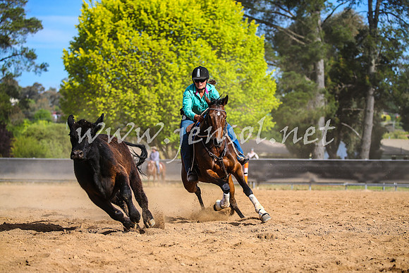 OrangeCampdraft2017_2537