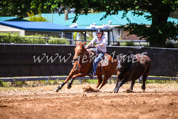 OrangeCampdraft2017_0338