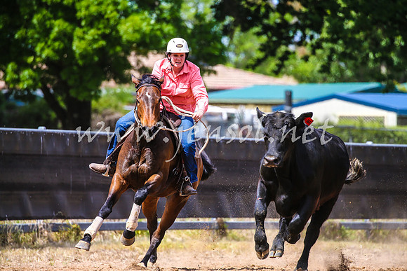 OrangeCampdraft2017_1273